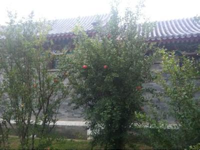 開(kāi)封開(kāi)封縣天氣預(yù)報(bào)_開(kāi)封縣天氣預(yù)報(bào)一周7天10天15天開(kāi)封開(kāi)封縣天氣預(yù)報(bào),開(kāi)封縣天氣預(yù)報(bào)一周7天10天15天