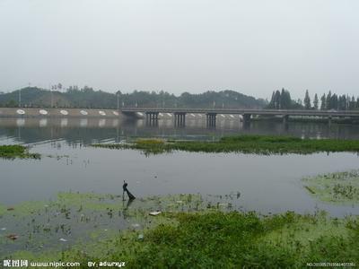 信陽平橋天氣預報_平橋天氣預報一周7天10天15天信陽平橋天氣預報,平橋天氣預報一周7天10天15天