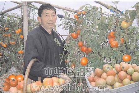 周口扶溝天氣預(yù)報(bào)_扶溝天氣預(yù)報(bào)一周7天10天15天周口扶溝天氣預(yù)報(bào),扶溝天氣預(yù)報(bào)一周7天10天15天