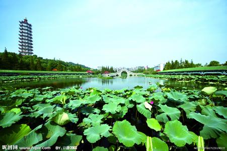 湖北鄂州天氣預報_鄂州天氣預報一周7天10天15天湖北鄂州天氣預報,鄂州天氣預報一周7天10天15天