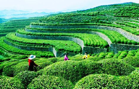 黃岡英山天氣預(yù)報(bào)_英山天氣預(yù)報(bào)一周7天10天15天黃岡英山天氣預(yù)報(bào),英山天氣預(yù)報(bào)一周7天10天15天