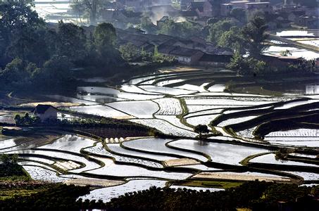 桂林臨桂天氣預報_臨桂天氣預報一周7天10天15天桂林臨桂天氣預報,臨桂天氣預報一周7天10天15天