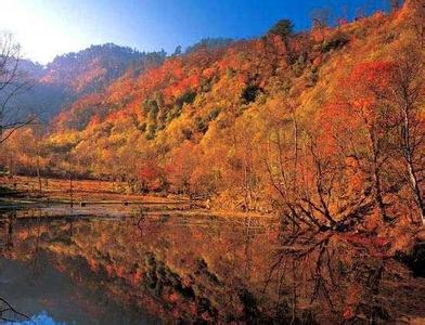 四川雅安天氣預報_雅安天氣預報一周7天10天15天四川雅安天氣預報,雅安天氣預報一周7天10天15天