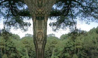 四川巴中天氣預報_巴中天氣預報一周7天10天15天四川巴中天氣預報,巴中天氣預報一周7天10天15天