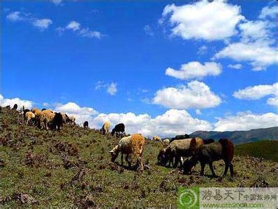 涼山布拖天氣預報_布拖天氣預報一周7天10天15天涼山布拖天氣預報,布拖天氣預報一周7天10天15天