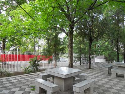 麗江古城天氣預(yù)報_古城天氣預(yù)報一周7天10天15天麗江古城天氣預(yù)報,古城天氣預(yù)報一周7天10天15天