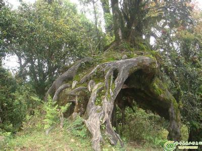 紅河金平天氣預(yù)報_金平天氣預(yù)報一周7天10天15天紅河金平天氣預(yù)報,金平天氣預(yù)報一周7天10天15天