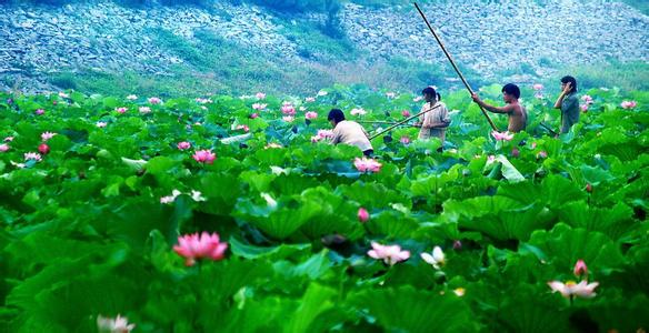 西安藍(lán)田天氣預(yù)報(bào)_藍(lán)田天氣預(yù)報(bào)一周7天10天15天西安藍(lán)田天氣預(yù)報(bào),藍(lán)田天氣預(yù)報(bào)一周7天10天15天