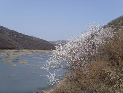 銅川印臺天氣預(yù)報_印臺天氣預(yù)報一周7天10天15天銅川印臺天氣預(yù)報,印臺天氣預(yù)報一周7天10天15天