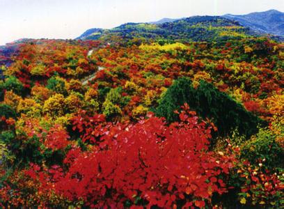 延安宜川天氣預報_宜川天氣預報一周7天10天15天延安宜川天氣預報,宜川天氣預報一周7天10天15天