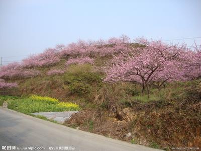 桃園桃園市天氣預報_桃園市天氣預報一周7天10天15天桃園桃園市天氣預報,桃園市天氣預報一周7天10天15天
