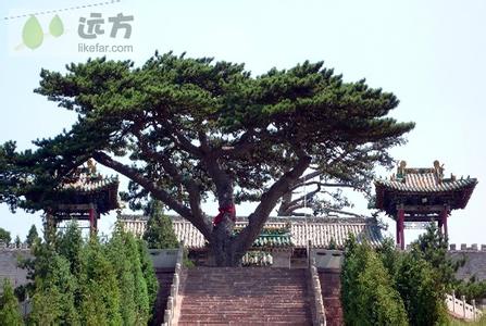 中陽(yáng)pm2.5實(shí)時(shí)查詢,中陽(yáng)縣空氣質(zhì)量指數(shù)查詢
