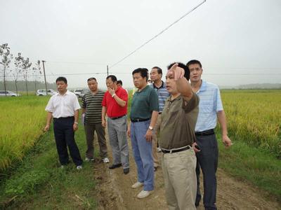 長豐pm2.5實(shí)時(shí)查詢,長豐縣空氣質(zhì)量指數(shù)查詢