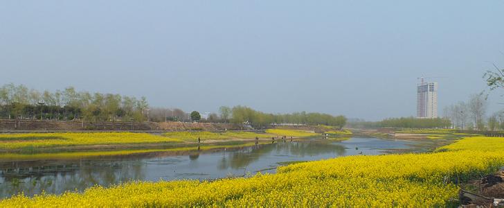 新野pm2.5實(shí)時(shí)查詢,新野縣空氣質(zhì)量指數(shù)查詢