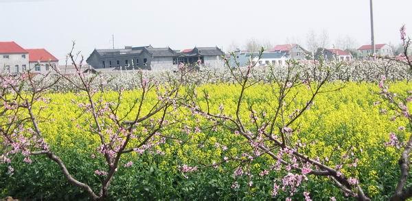 荊州區(qū)pm2.5實時查詢,荊州區(qū)空氣質(zhì)量指數(shù)查詢