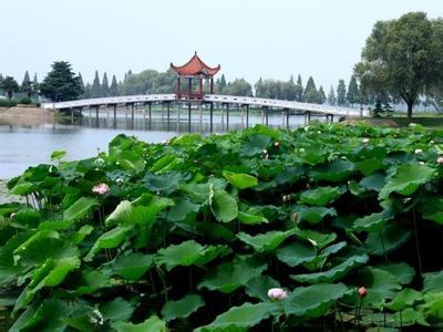洪湖pm2.5實(shí)時(shí)查詢,洪湖市空氣質(zhì)量指數(shù)查詢