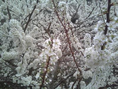 陸河pm2.5實時查詢,陸河縣空氣質(zhì)量指數(shù)查詢