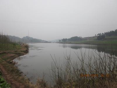 安居pm2.5實時查詢,安居區(qū)空氣質(zhì)量指數(shù)查詢