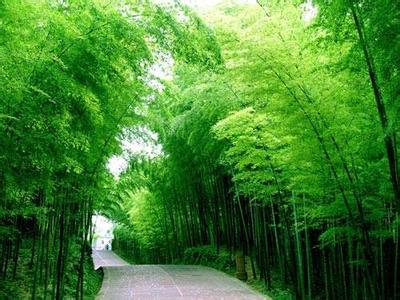 長寧pm2.5實時查詢,長寧縣空氣質(zhì)量指數(shù)查詢