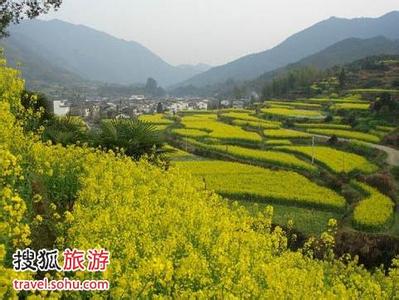 王益pm2.5實(shí)時(shí)查詢,王益區(qū)空氣質(zhì)量指數(shù)查詢