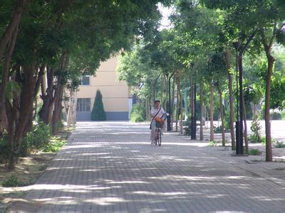 賀蘭pm2.5實時查詢,賀蘭縣空氣質量指數查詢