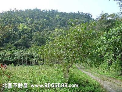 宜蘭pm2.5實時查詢,宜蘭縣空氣質量指數查詢