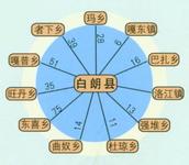 白朗車輛違章查詢