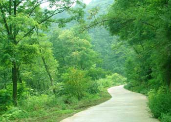 白水車輛違章查詢