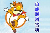 灞橋車輛違章查詢