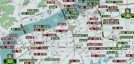 濱江車輛違章查詢