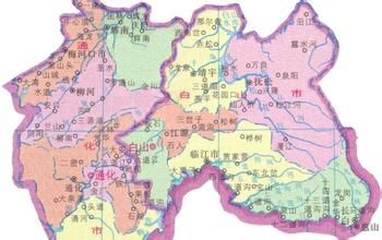 礦區車輛違章查詢
