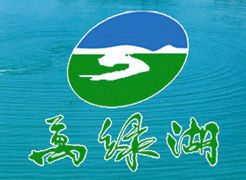 東源車輛違章查詢