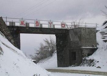 福貢車輛違章查詢
