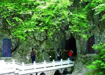 含山車輛違章查詢