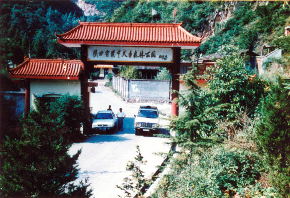 漢臺車輛違章查詢