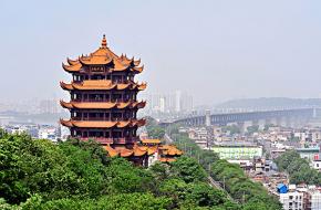 漢陽(yáng)車(chē)輛違章查詢(xún)