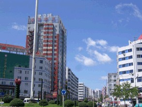 向陽車輛違章查詢