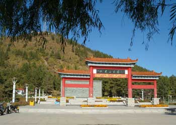 克東車輛違章查詢