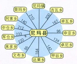 尼瑪車輛違章查詢