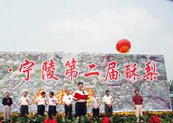 寧陵車(chē)輛違章查詢