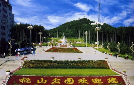桃山車輛違章查詢