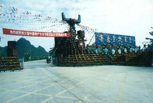 文山縣車輛違章查詢