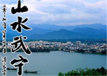 武寧車輛違章查詢