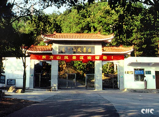 下陸車輛違章查詢