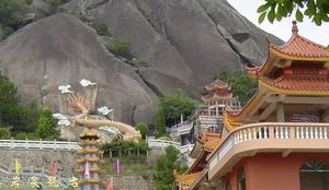 興業(yè)車(chē)輛違章查詢(xún)
