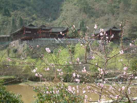 酉陽(yáng)車(chē)輛違章查詢