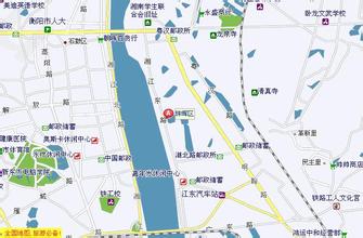 珠暉車輛違章查詢