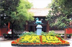 武威隴右學(xué)宮之冠天氣