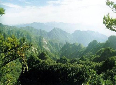 慶陽(yáng)夏家溝森林公園天氣