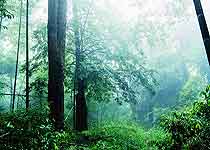 武平梁野山國家自然保護(hù)區(qū)天氣